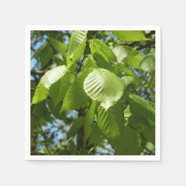 Spring Birch Leaves Green Tree Napkin (Front)