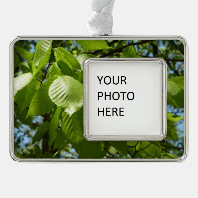 Spring Birch Leaves Green Tree Silver Plated Framed Ornament (Front)