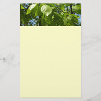 Spring Birch Leaves Green Tree Stationery