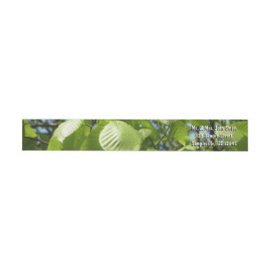 Spring Birch Leaves Green Tree Wrap Around Label