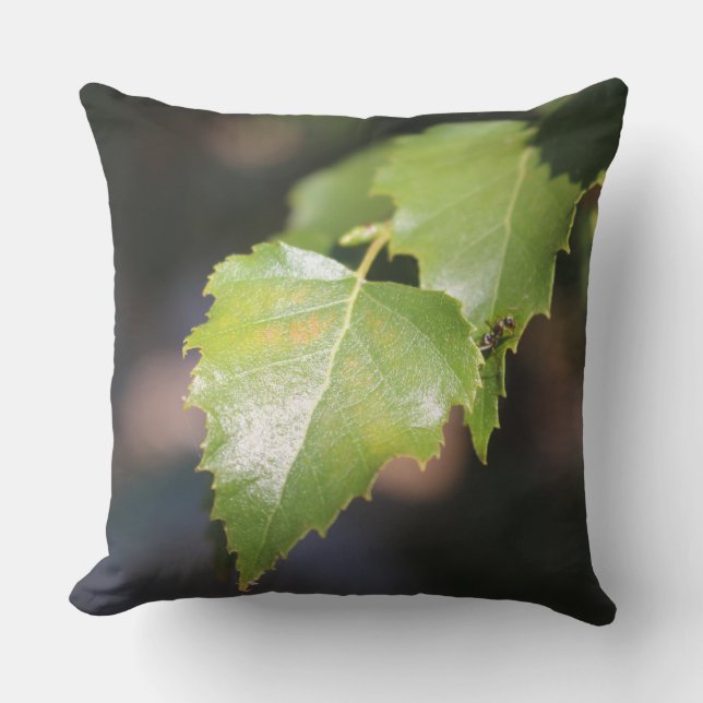 Spring Birch Leaves Outdoor Accent Pillow (Front)