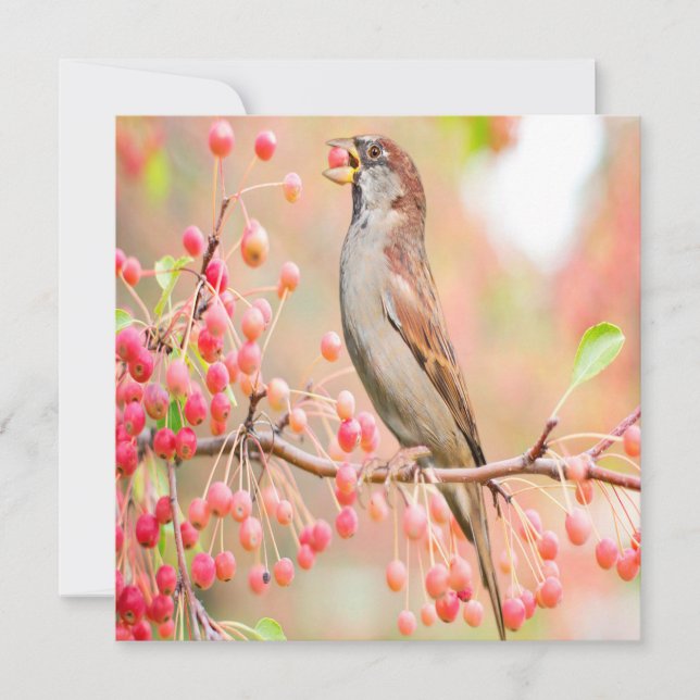 Spring Bird Eating Berries (Front)