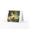 Spring Bird Nest Greeting Card