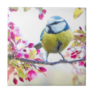 Spring Bird Tile