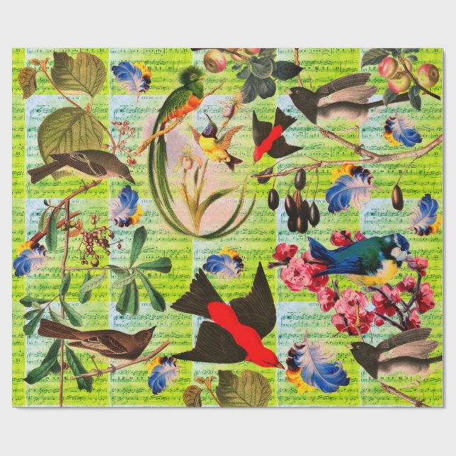 SPRING BIRDS,FEATHERS,FRUITS Music Notes Green Wrapping Paper (Flat)