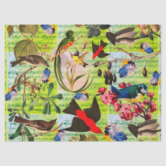 SPRING BIRDS,FEATHERS,FRUITS Red Green Music Notes Tissue Paper (Front)
