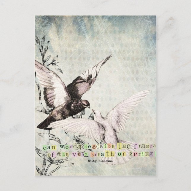 Spring Birds Postcard (Front)