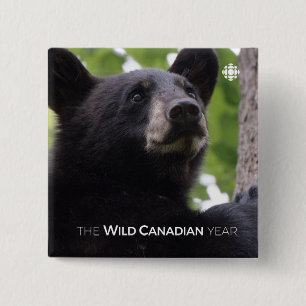 Spring - Black Bear 15 Cm Square Badge