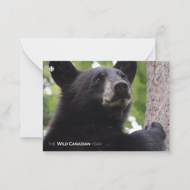 Spring - Black Bear Card (Front)