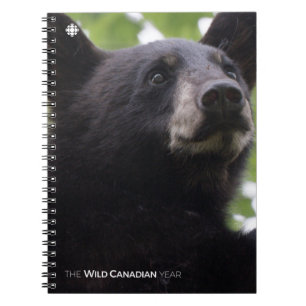 Spring - Black Bear Spiral Notebook