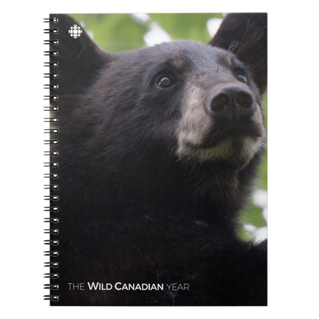 Spring - Black Bear Spiral Notebook (Front)