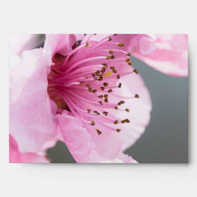 Spring blooming envelope (Front)