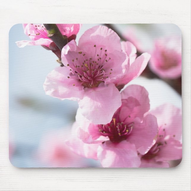 Spring blooming mouse pad (Front)