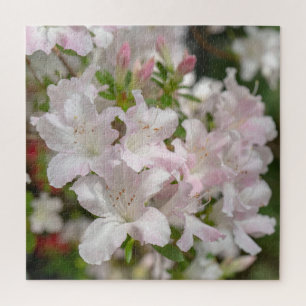 Spring Blooming Pink Azalea Flowers Jigsaw Puzzle