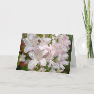 Spring Blooming Pink Azalea Flowers Thank You Card