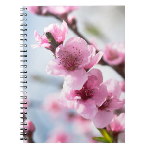Spring blooming spiral notebook