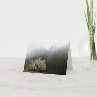 Spring Blooms in Morning Mist Photo Note Card