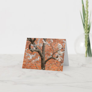 Spring Blossom Apricot Tree Red Brick Wall Thank You Card