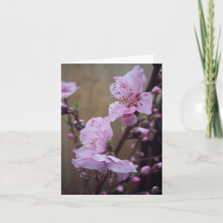 Spring Blossom Blank Note Card