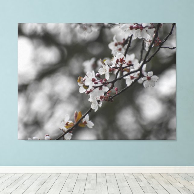 Spring Blossom  Canvas Print (Insitu(Wood Floor))