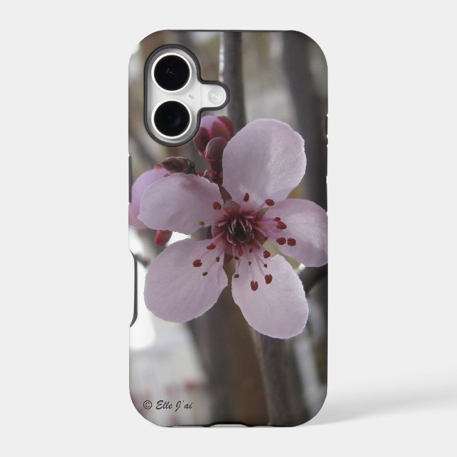Spring Blossom iPhone 5 Case (Back)