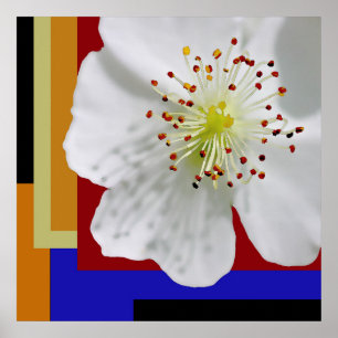 Spring Blossom Modern Abstract Floral Fine Art Poster