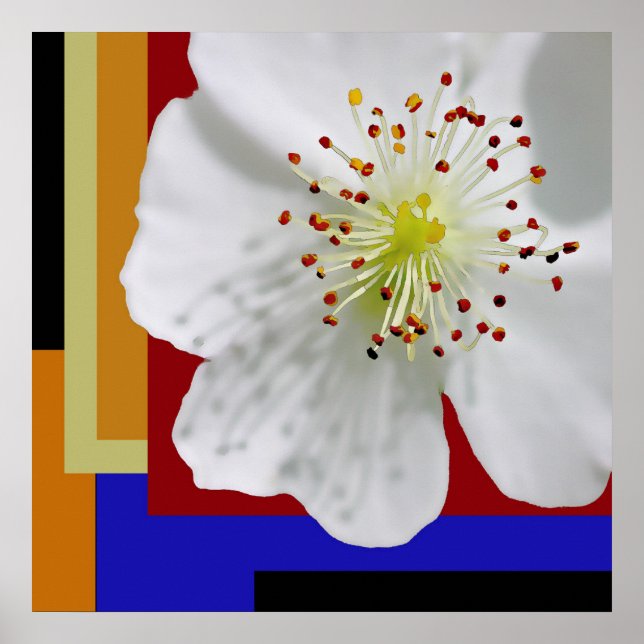 Spring Blossom Modern Abstract Floral Fine Art Poster (Front)