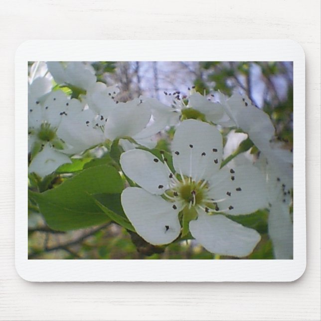 Spring Blossom Mouse Pad (Front)
