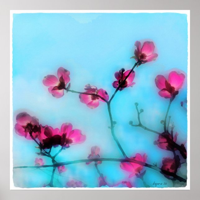 Spring blossom,poster poster (Front)