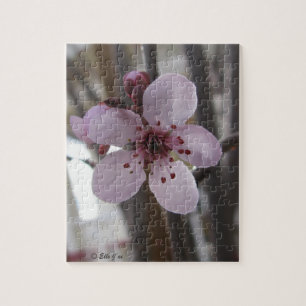 Spring Blossom Puzzle