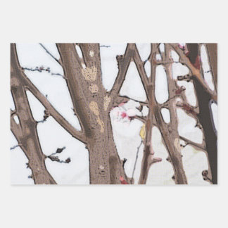Spring Blossom Wrapping Paper Flat Sheet Set of 3
