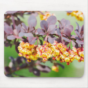 Spring blossoming mouse pad