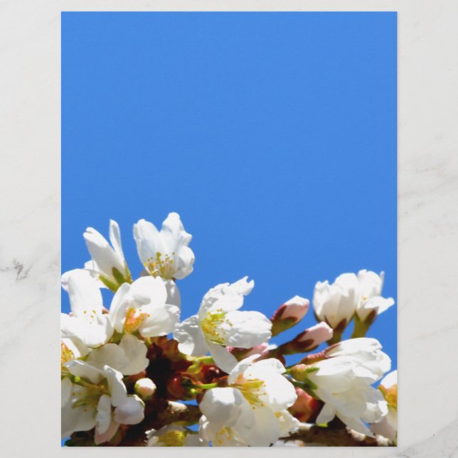 Spring Blossoms (Front)