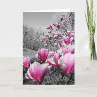 Spring Blossoms Card