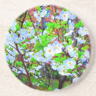 'Spring Blossoms' Coaster