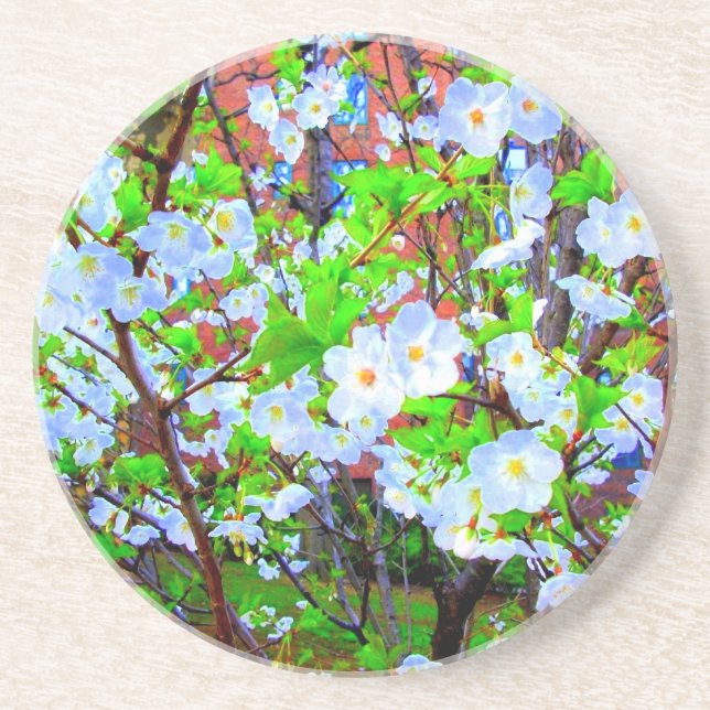 'Spring Blossoms' Coaster (Front)