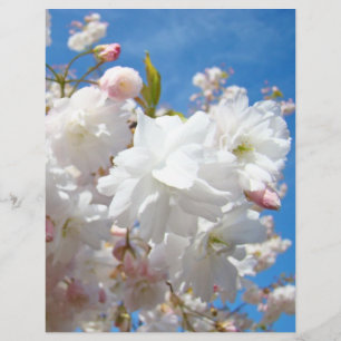 Spring Blossoms Flyers paper Blue Sky Flowers