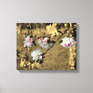Spring Blossoms In Sepia Partial Colour Canvas Print