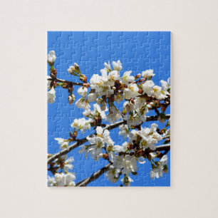 spring blossoms jigsaw puzzle
