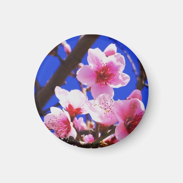 Spring Blossoms Magnet (Front)