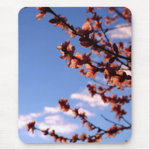 Spring Blossoms Mousepad