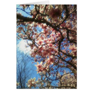 Spring Blossoms Notecard
