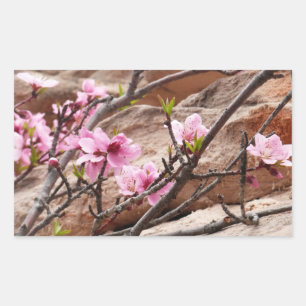 Spring Blossoms on Zion Rocks Rectangular Sticker