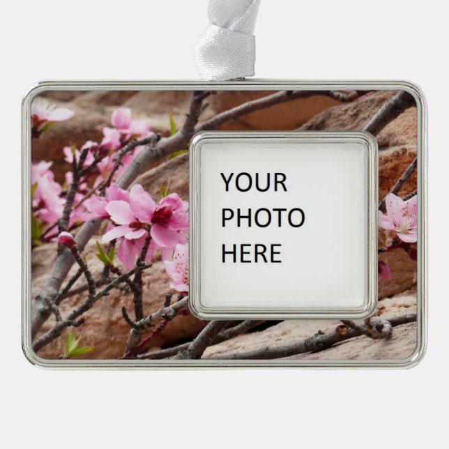 Spring Blossoms on Zion Rocks Silver Plated Framed Ornament (Front)