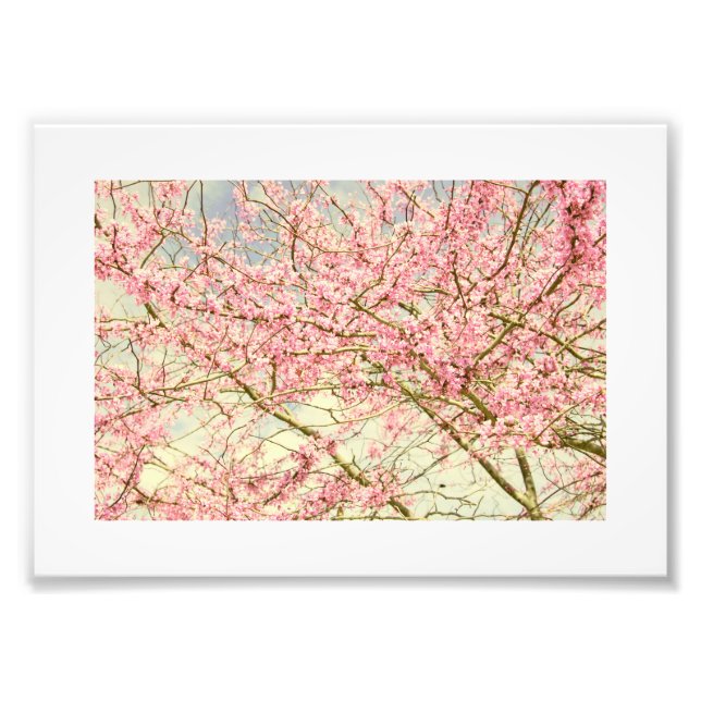 Spring Blossoms Vintage Photo Print (Front)