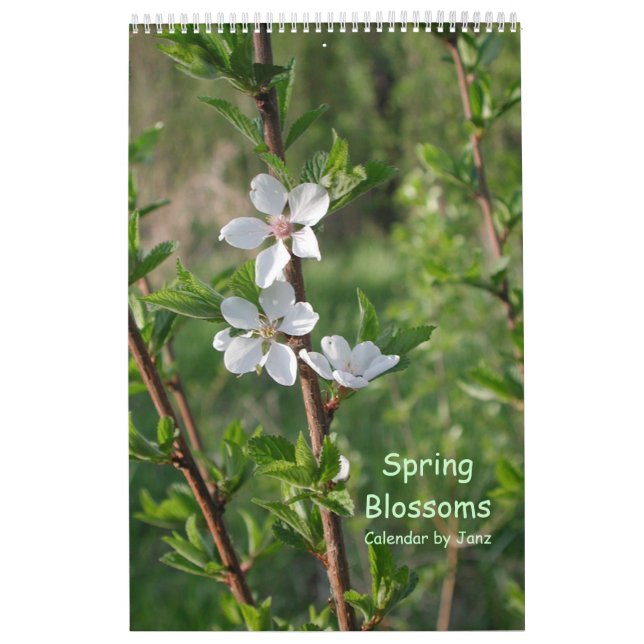 Spring Blossoms Wall Calendar by Janz (Cover)