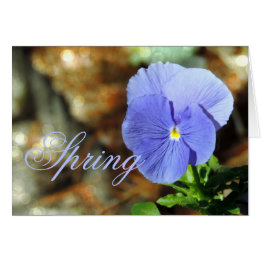 Spring Blue Pansy Any Occasion Card