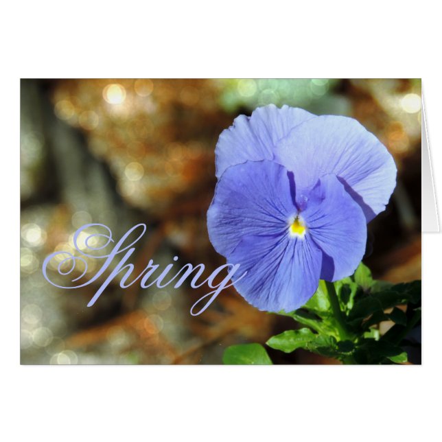 Spring Blue Pansy Any Occasion Card (Front Horizontal)