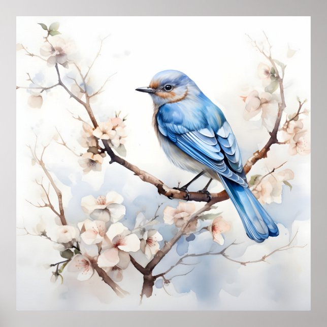 Spring Bluebird in the Blossoming Tree Poster (Front)
