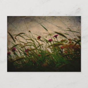 Spring Breeze postcard